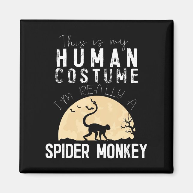 Imã Halloween, Homem-Aranha-Macaco, Horror Assustador (Frente)