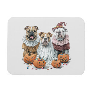 Ímã Halloween Inglês Bulls Pumpkin