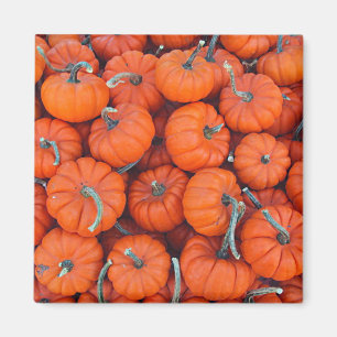 Imã Halloween Mini Pumpkin Fall Autumn Patterno