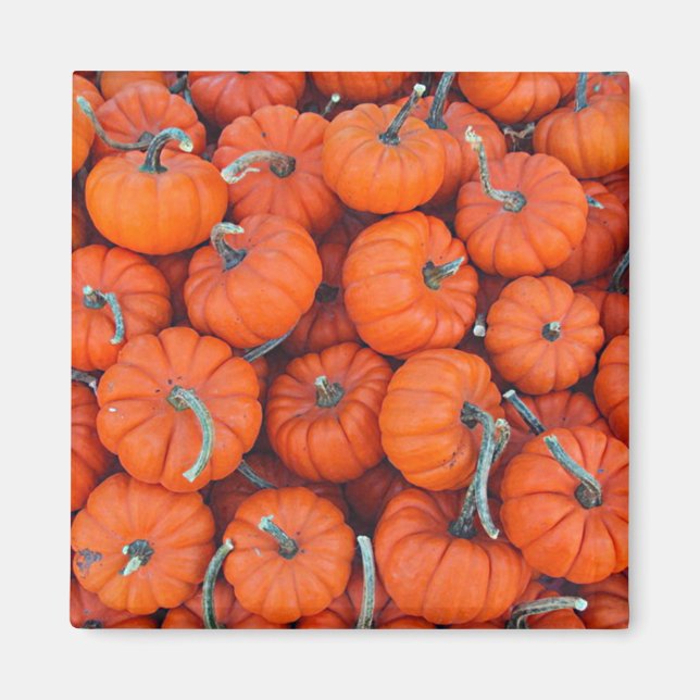 Imã Halloween Mini Pumpkin Fall Autumn Patterno (Frente)