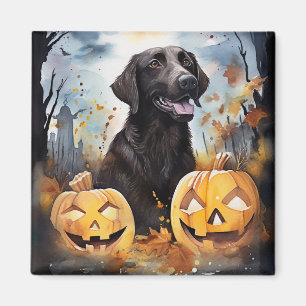 Imã Halloween Nova Escotia Com Pumpkins Assustado