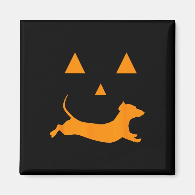 Imã Halloween Pumpkin Dachshund Jack-o-lantern Costume (Frente)