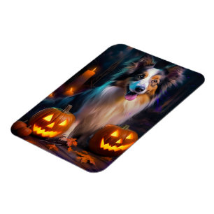 Ímã Halloween Shetland Sheepdog Com Pumpkins Assustado