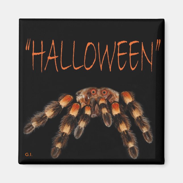 Imã Halloween Spider Magnet (Frente)