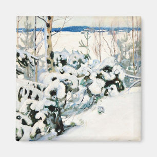 Imã Halonen - Inverno em Kinahmi