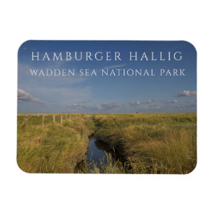 Ímã Hamburger Hallig, Wadden Sea, Alemanha