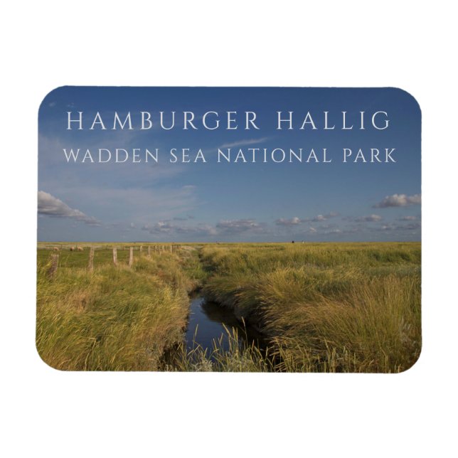 Ímã Hamburger Hallig, Wadden Sea, Alemanha (Horizontal)