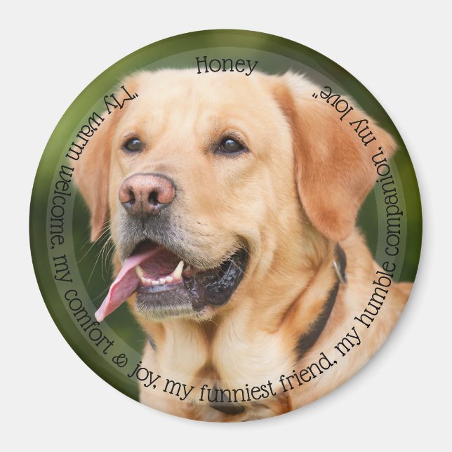 Imã HAMbyWG Pet Magnet (Frente)