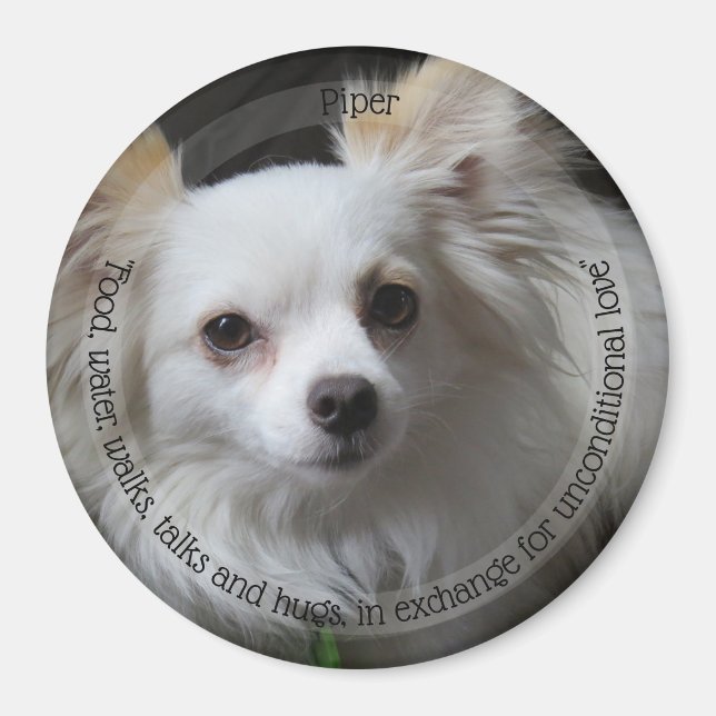 Imã HAMbyWG Pet Magnet (Frente)