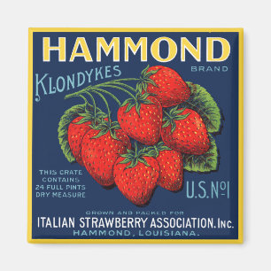 Imã Hammond Klondykes Morangos