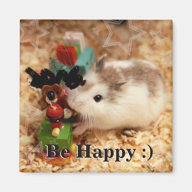 Imã Hammyville - Hamster Bonito (Frente)