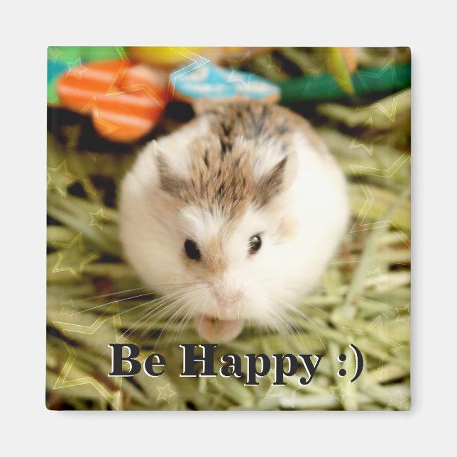 Imã Hammyville - Hamster Bonito (Frente)