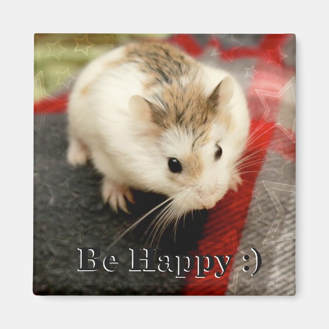 Imã Hammyville - Hamster Bonito (Frente)