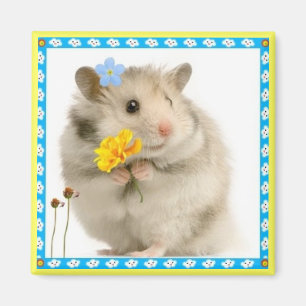 Imã hamster