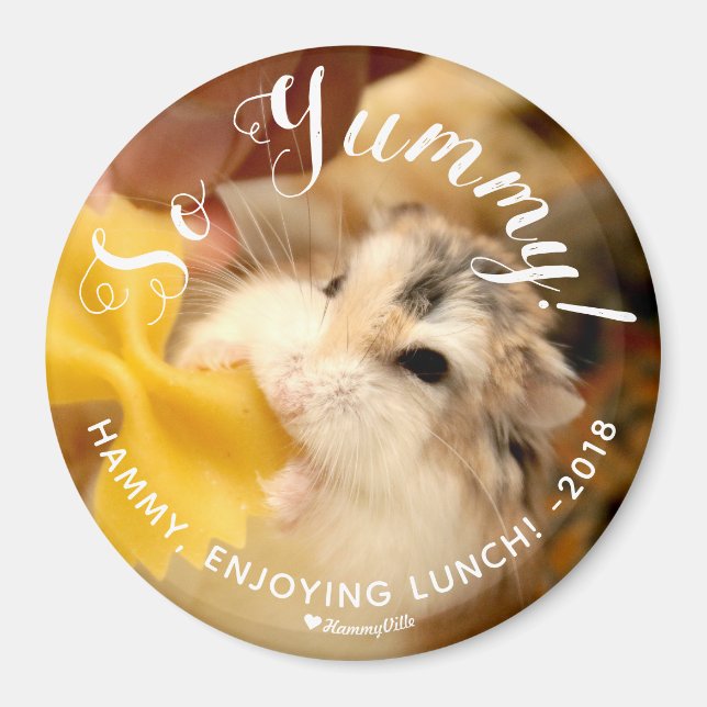 Imã Hamster Bonito Tão Iummy (Frente)