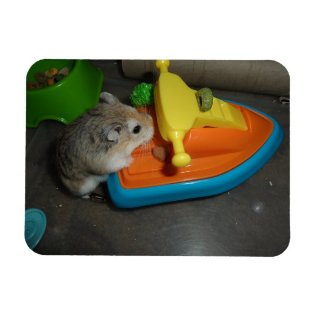 Ímã Hamster em um Jet-ski (Horizontal)