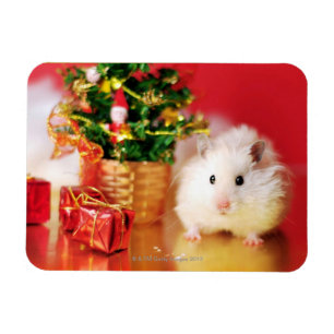 Ímã Hamster Kokolinka com árvore de Natal