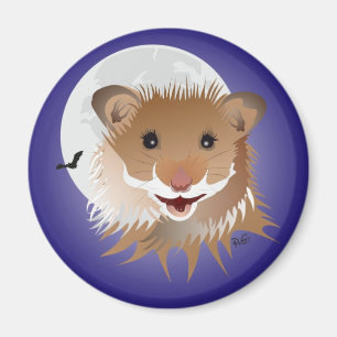 Imã hamster the my íman little friend