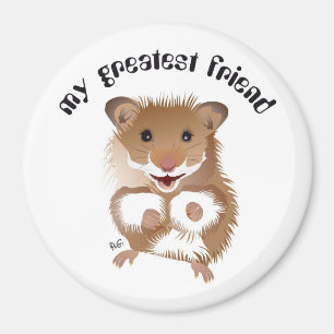 Imã hamster the my íman little friend