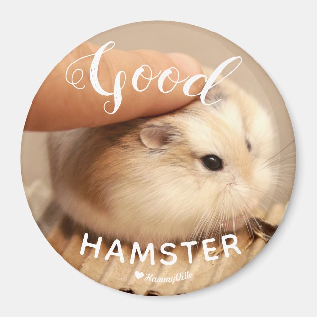 Imã Hamter bonito sendo um bom Hamster (Frente)
