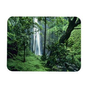 Ímã Hanakapiai Falls ao longo da costa de Na Pali, Kau