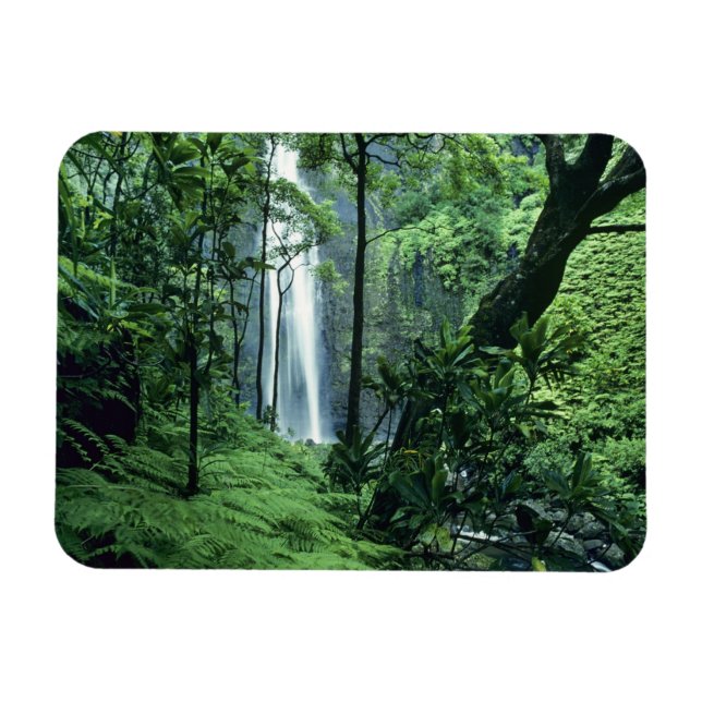 Ímã Hanakapiai Falls ao longo da costa de Na Pali, Kau (Horizontal)
