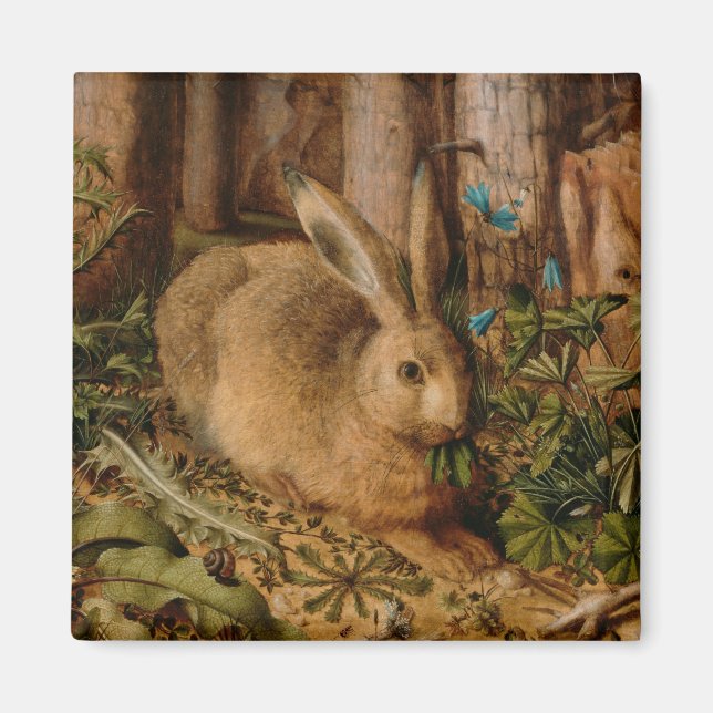 Imã Hans Hoffmann A Hare In The Forest (Frente)