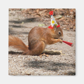 Imã Happy Birthday Squirrel