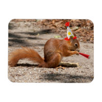 Happy Birthday Squirrel