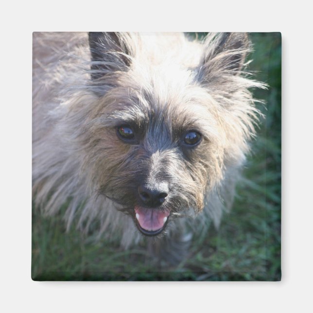 Imã Happy Girl Magnet (Frente)