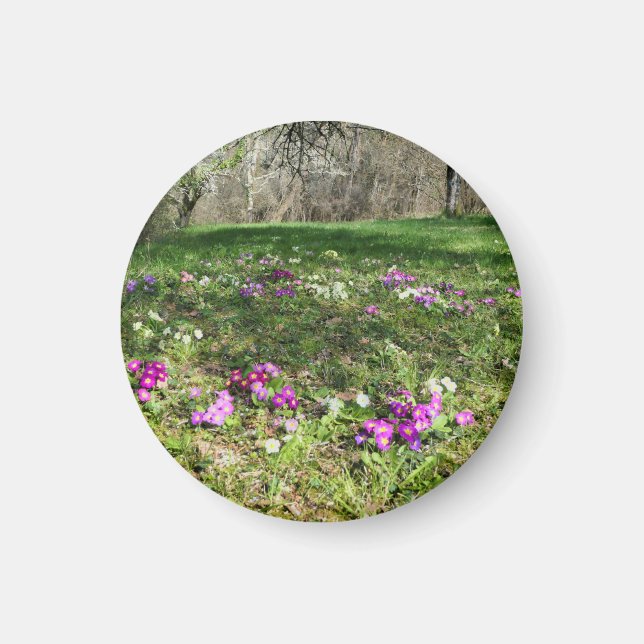 Imã Harbinger de Primavera (Frente)