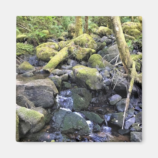 Imã Hardy Creek, Oregon (Frente)