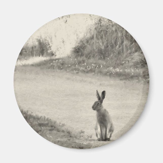 Imã Hare hoje (Frente)