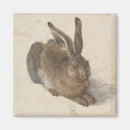 Imã Hare (por Albrecht Dürer)