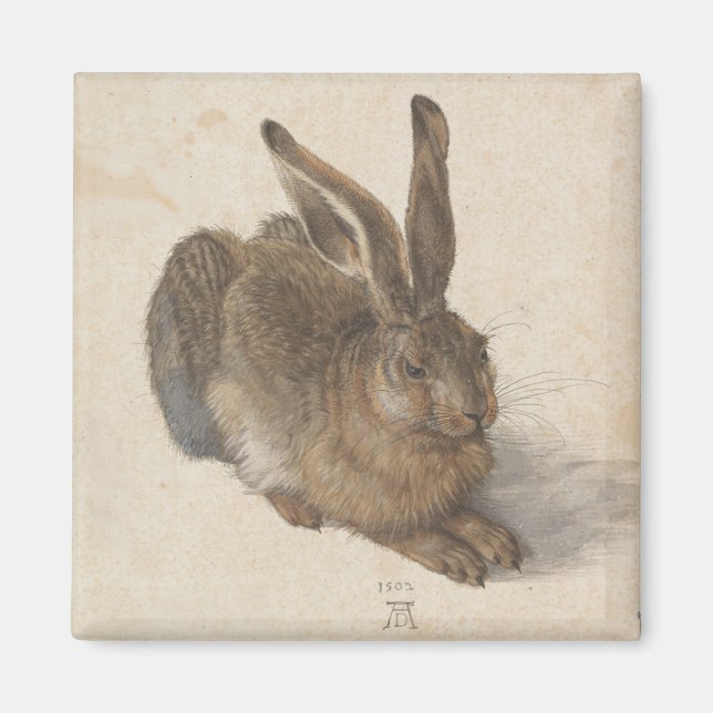 Imã Hare (por Albrecht Dürer) (Frente)