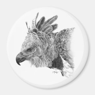 Imã Harpy Eagle Drawing