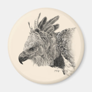 Imã Harpy Eagle Drawing