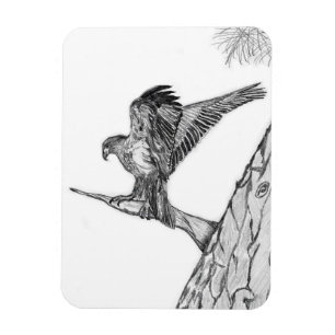 ÍMÃ HARRIET M HOME STORY OF FAMILY TREE E9 BRANCHES