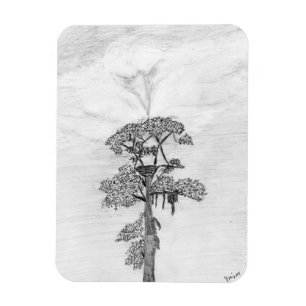 ÍMÃ HARRIET M HOME STORY OF FAMILY TREE OZZIE ASSISTE