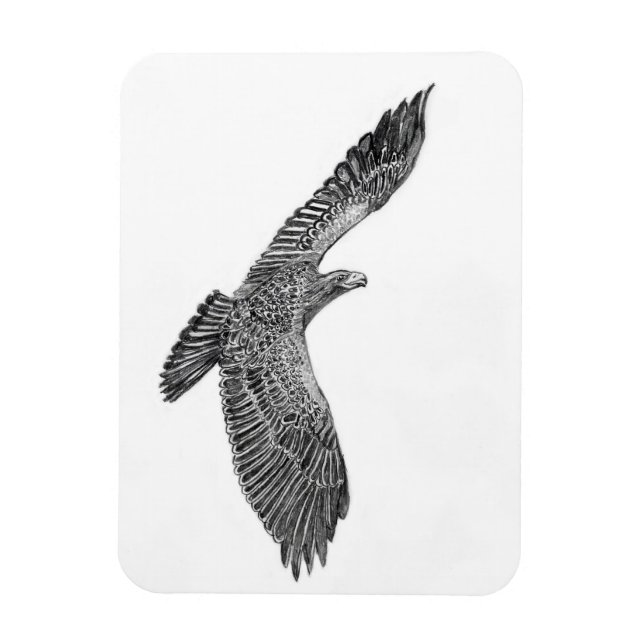 ÍMÃ HARRIET OZZIE M HISTÓRIA DOMÉSTICA DA ÁRVORE FAMIL (Vertical)