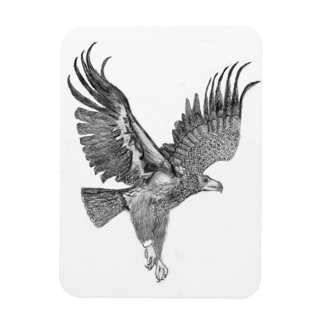 ÍMÃ HARRIET OZZIE M HOME STORY OF FAMILY TREE E8 SOAR (Vertical)