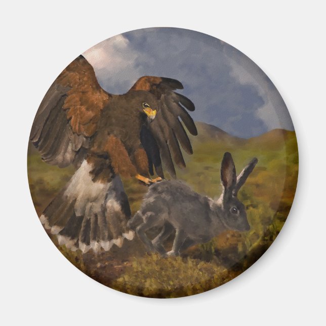 Imã Harris Hawk e Jackrabbit - acrílico (Frente)