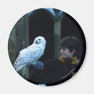Imã Harry e Hedwig 2