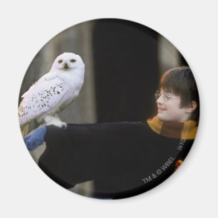 Imã Harry e Hedwig 3