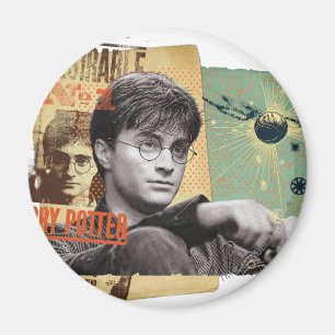 Imã Harry Potter 13