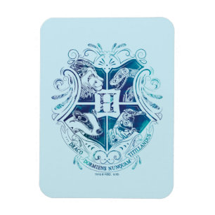 Ímã Harry Potter   Aguamenti HOGWARTS™ Crest