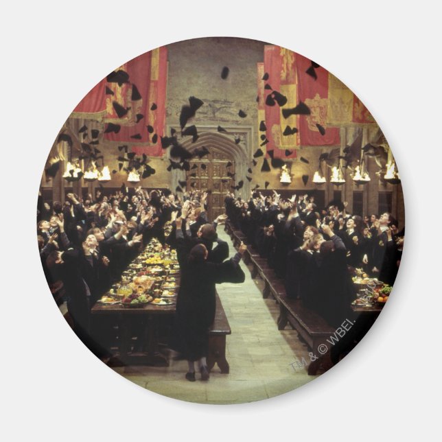 Imã Harry Potter Castle | EXCELENTE (Frente)