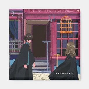 Imã HARRY POTTER™ & Hermione no Eeylops Owl Emporium