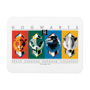 Ímã Harry Potter   HOGWARTS™ House Sigils