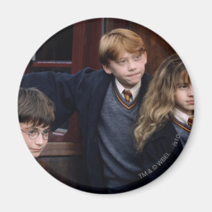 Imã Harry, Ron, and Hermione